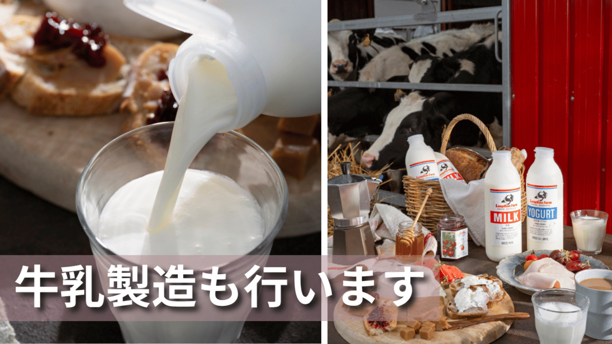 就労継続支援A型事業所 リンクアップ【2026年02月オープン予定】(サービス管理責任者の求人)の写真3枚目: