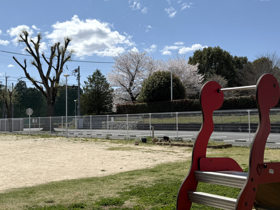みらいのもり児童クラブ（放課後児童支援員/学童指導員の求人）の写真3枚目：