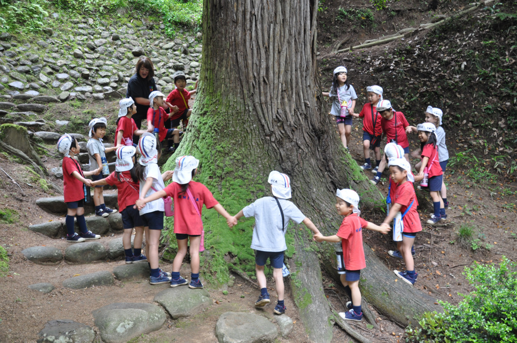 YMCA国際幼児園（保育補助の求人）の写真3枚目：