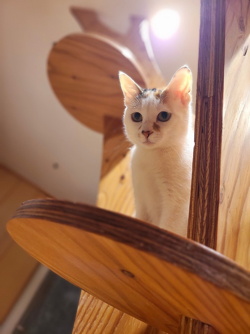 生活介護施設・アトリエカフェキズナの写真2枚目: