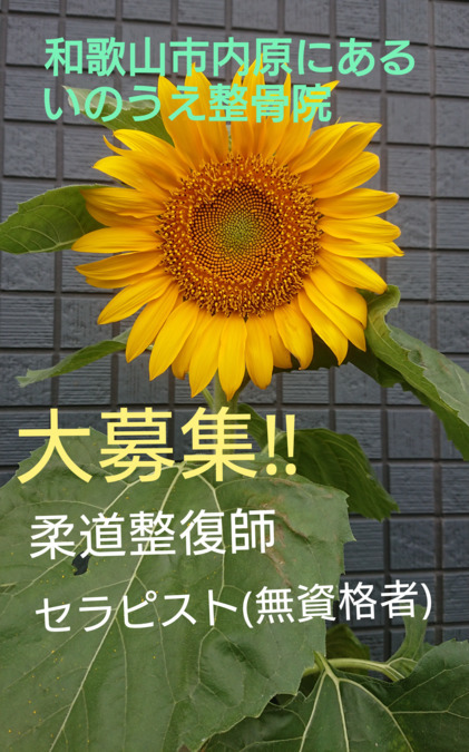 和歌山市内原にあるいのうえ整骨院の写真
