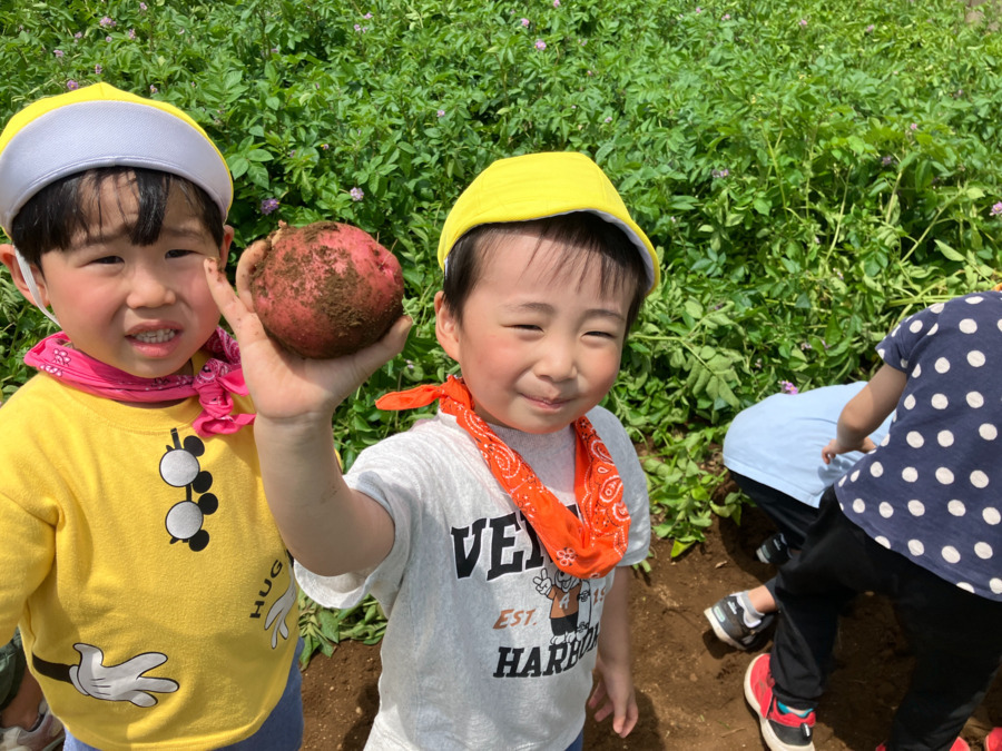 国立たいよう保育園（保育士の求人）の写真2枚目：