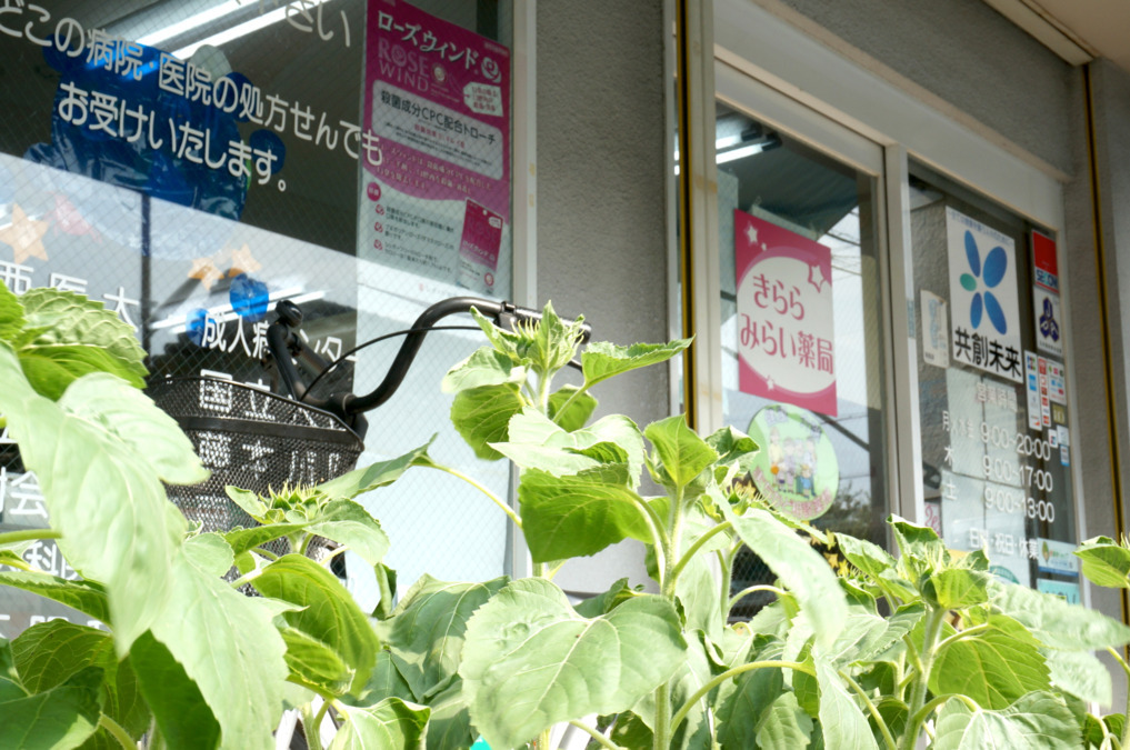 きららみらい薬局大利店（調剤事務の求人）の写真3枚目：