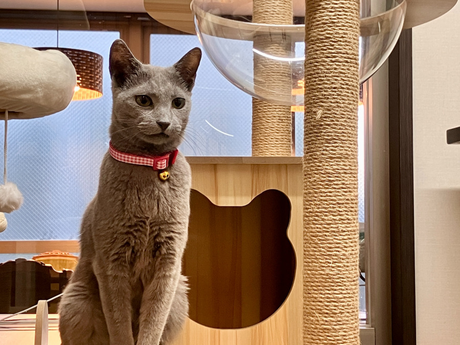 メディカルホーム苗間(介護職/ヘルパーの求人)の写真5枚目: