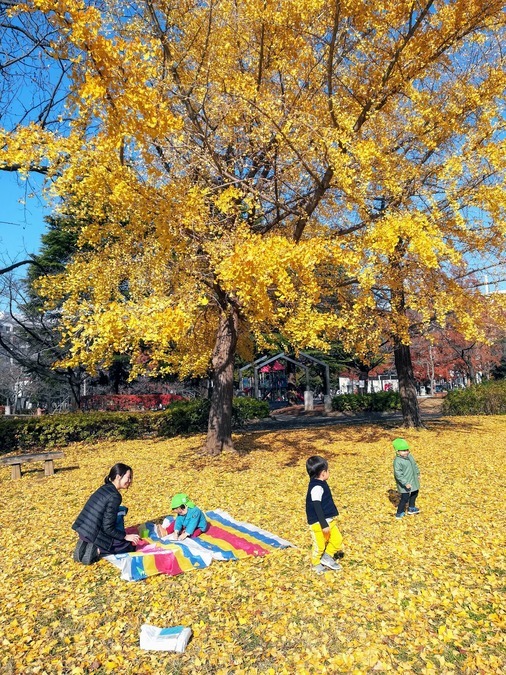 プチリック美野里園の写真15枚目：