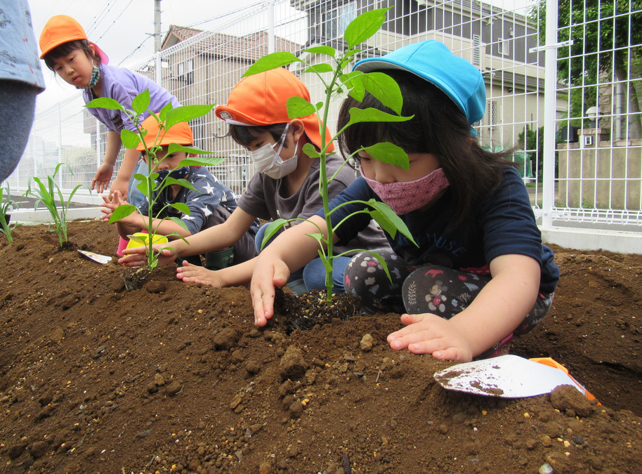 ニチイキッズ東光台保育園の写真4枚目：