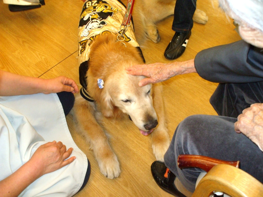 介護老人保健施設さくらの里(介護職/ヘルパーの求人)の写真6枚目:岡崎市,介護老人保健施設さくらの里,看護介護求人,アニマルセラピー写真