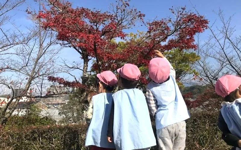 ありんこ保育園の写真