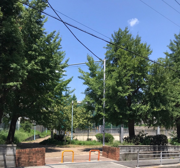 growのおと　上本町教室（言語聴覚士の求人）の写真9枚目：清水谷公園が目の前の教室です！