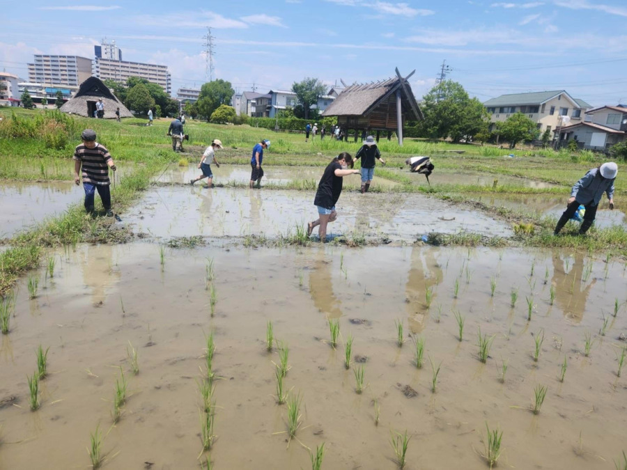 放課後等デイサービスkonoki東新田（児童指導員/指導員の求人）の写真2枚目：