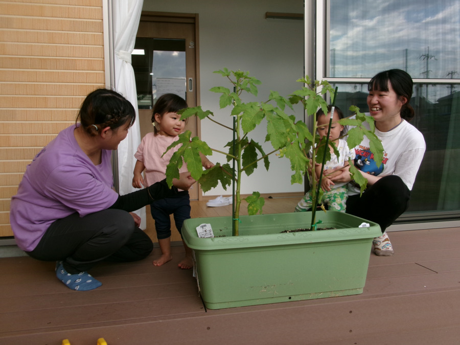 トレジャーキッズながはた保育園の写真3枚目：