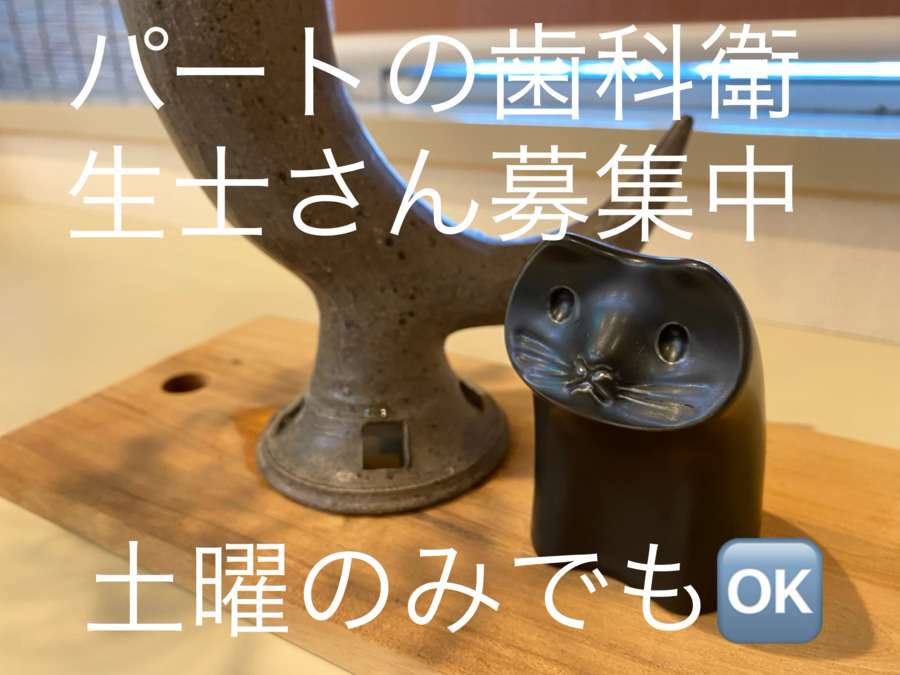 奥村歯科医院（歯科衛生士の求人）の写真3枚目：