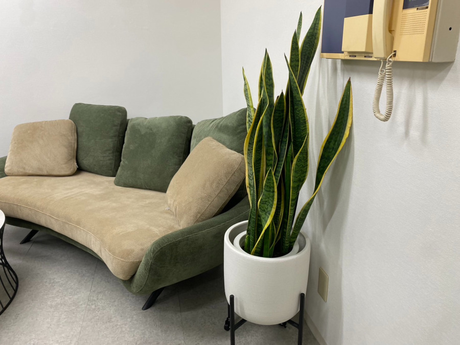 ふぅ鍼灸院【2025年05月01日オープン】（鍼灸師の求人）の写真4枚目：