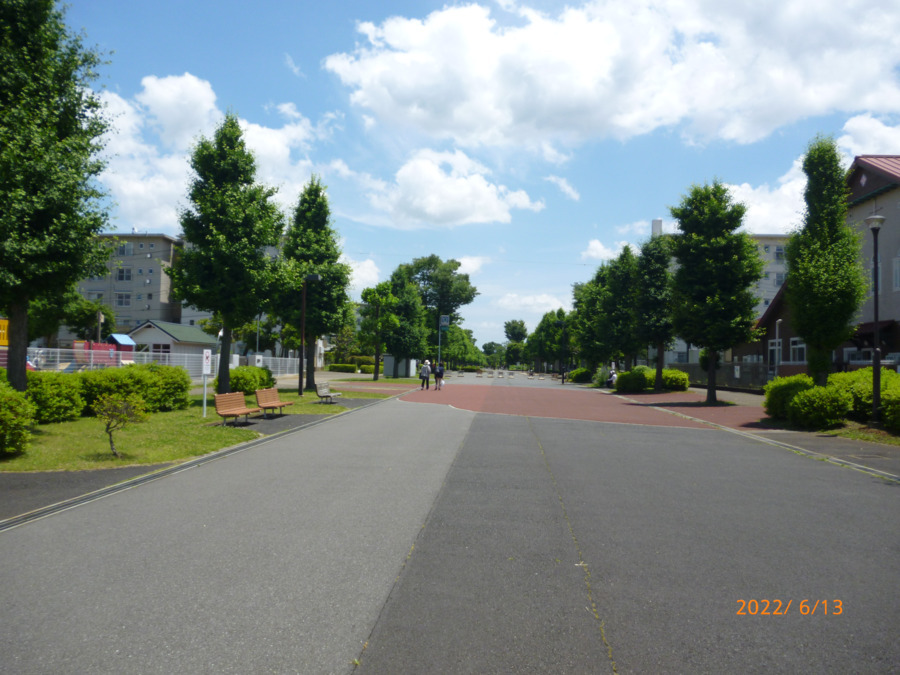 八千代市阿蘇・睦地域包括支援センター(保健師の求人)の写真6枚目:担当となる地域の様子(団地内)