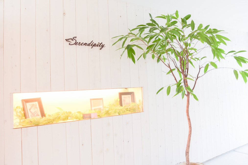Serendipity　みよし店の写真2枚目：店舗内観