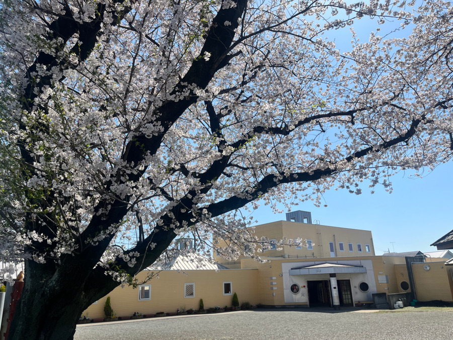 厚木さくら幼稚園（保育士の求人）の写真：