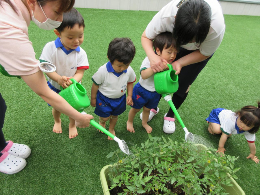蓮美幼児学園　京町堀プリメール（保育士の求人）の写真4枚目：