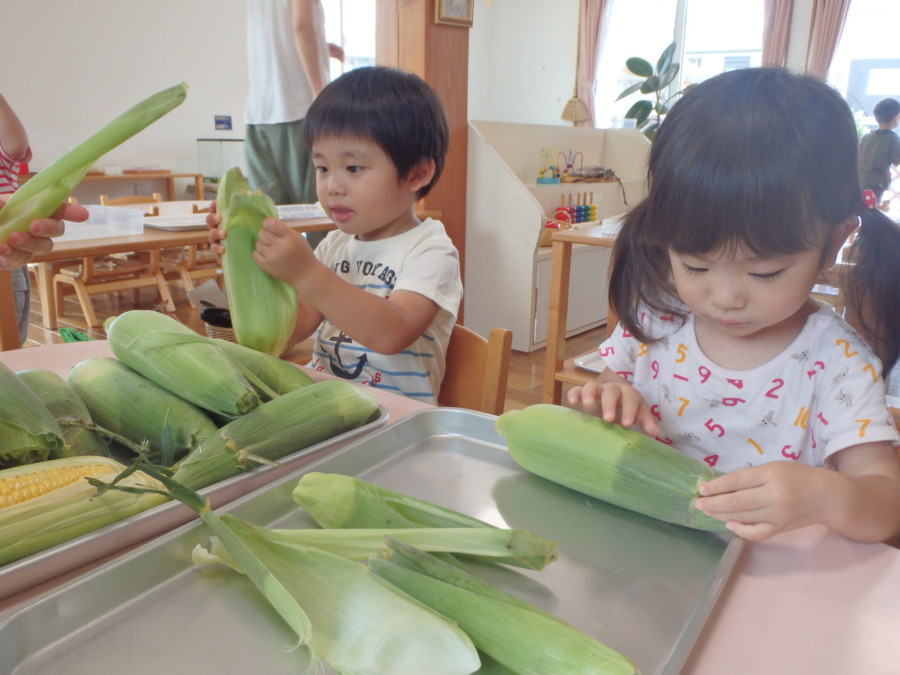 かわのこほいく園（保育補助の求人）の写真5枚目：