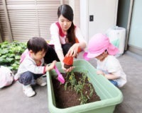 ほっぺるランド西葛西（管理栄養士/栄養士の求人）の写真4枚目：