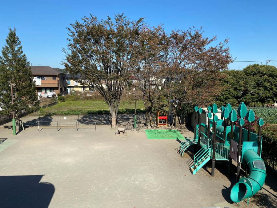 星の子保育園の写真3枚目: