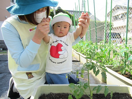 ニチイキッズ南横路保育園(保育士の求人)の写真2枚目: