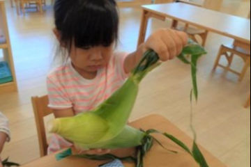 市川なないろ保育園（看護師/准看護師の求人）の写真3枚目：