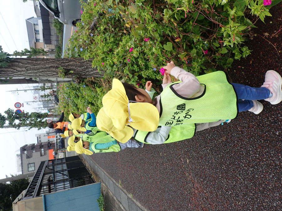 認定こども園岩槻ひかり（保育士の求人）の写真28枚目：