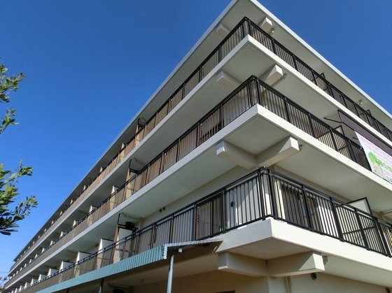 たんぽぽ四季の森の写真