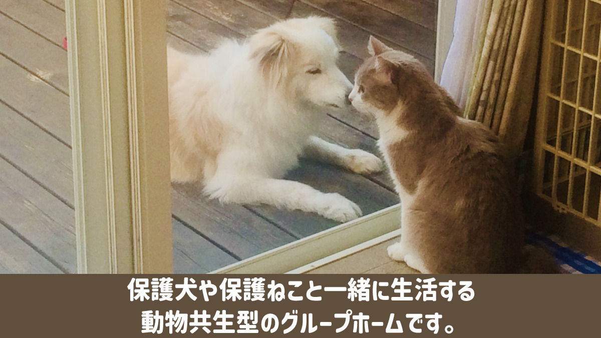 12ぱーそんずの写真2枚目：