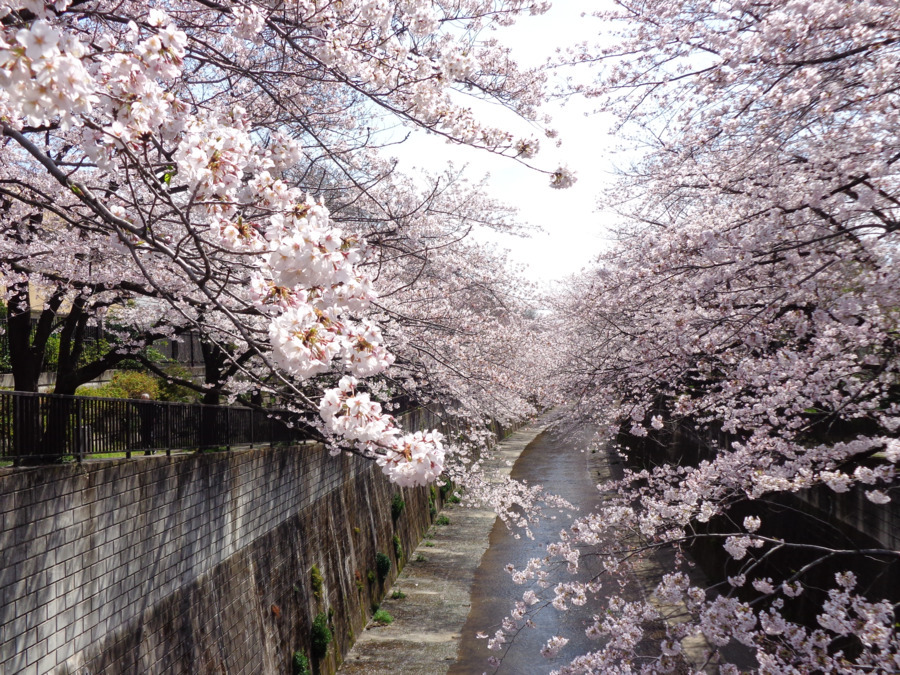 板橋区立加賀福祉園(保育士の求人)の写真4枚目: