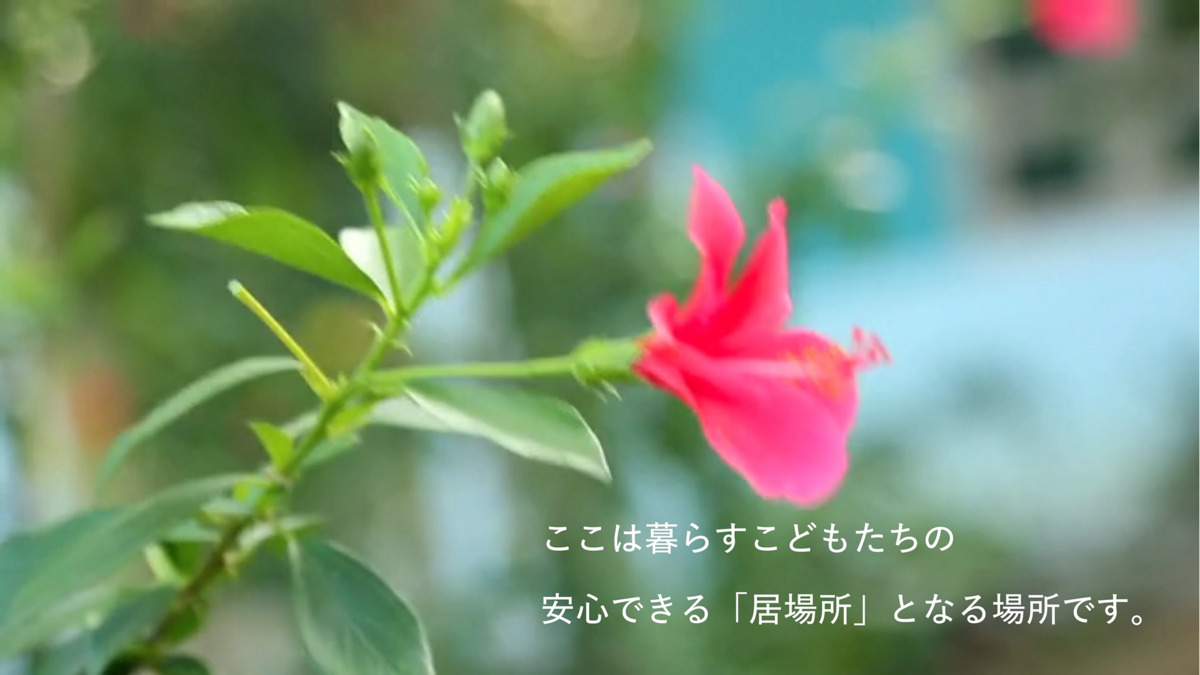 児童養護施設　「メレ・オハナ」の写真2枚目：