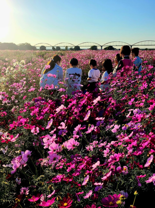 こぱんはうすさくら 鴻巣吹上教室(保育士の求人)の写真2枚目:
