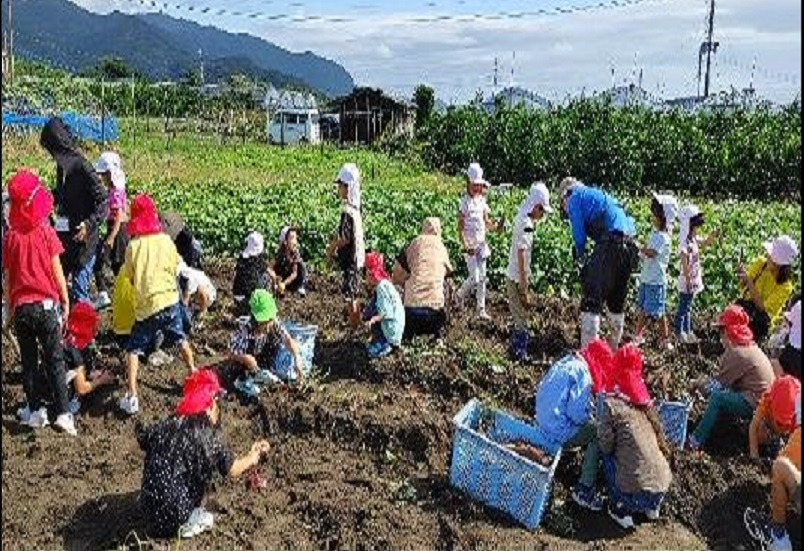 真生幼稚園（幼稚園教諭の求人）の写真3枚目：