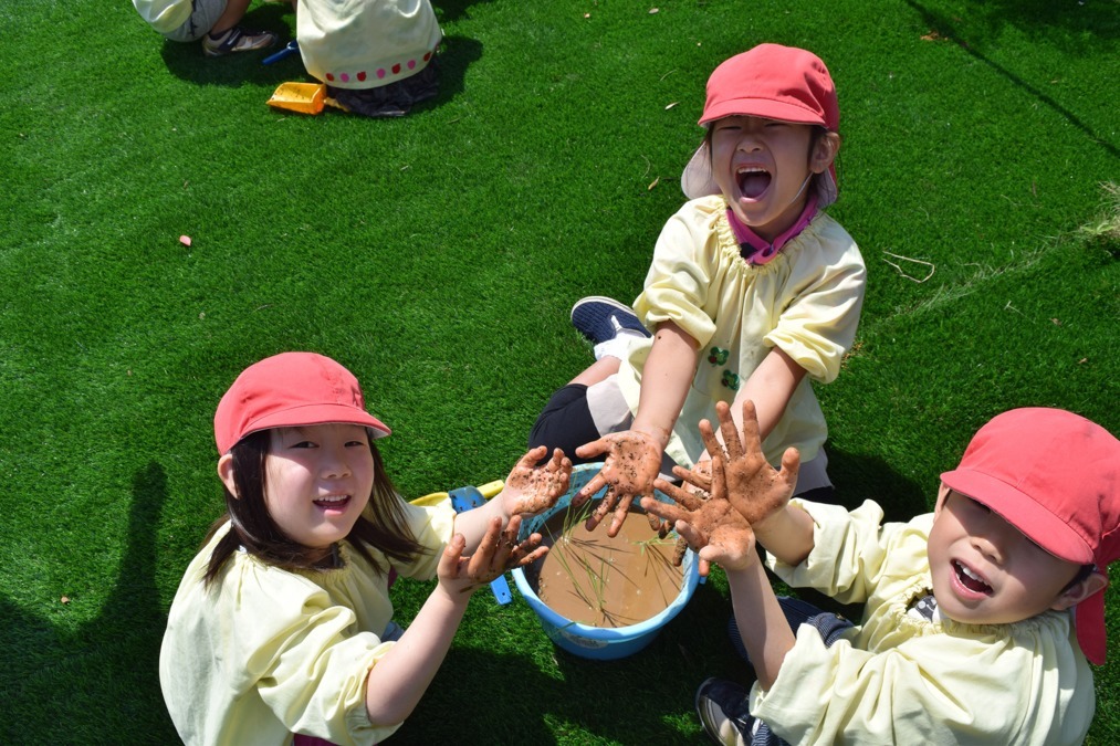 みなみ栄保育園の写真6枚目：子どもたちは『遊び』のなかで、「みて」、「きいて」、「さわって」成長します。