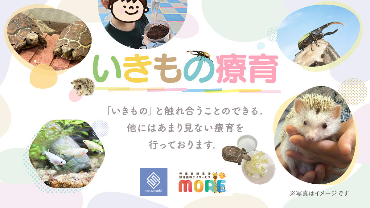 児童発達支援・放課後等デイサービスMORE（那珂川市片縄校）（児童指導員/指導員の求人）の写真6枚目：