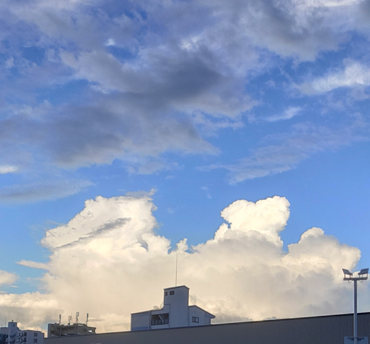 蒼空ヘルパーサービスの写真