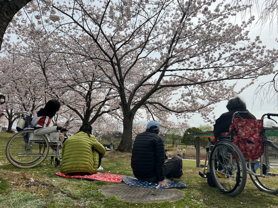 ツバキの郷の写真3枚目：