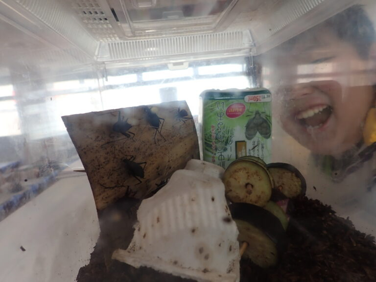 認定こども園岩槻ひかり（保育士の求人）の写真7枚目：