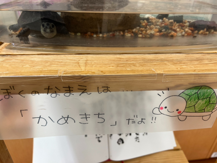 溝上薬局 空港通り店（薬剤師の求人）の写真5枚目：溝上薬局　空港通り店　子供達に大人気のかめきちです！！