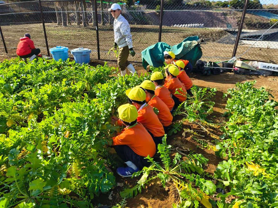 みくに幼稚園の写真