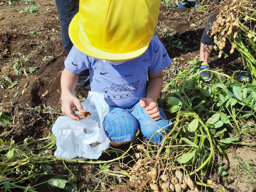 保育ルームFelice　蕨Ⅱ園（管理栄養士/栄養士の求人）の写真1枚目：