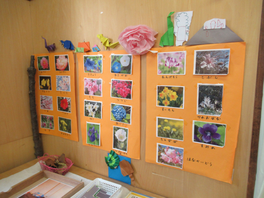 厚生館保育園（保育士の求人）の写真13枚目：わらべうた“はなづくし”の花写真　０歳から５歳までわらべうたを楽しんでいます。