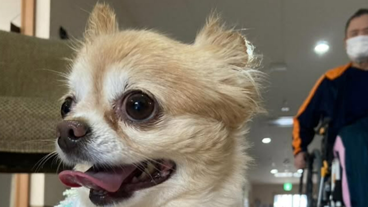 まつしまの家（看護師/准看護師の求人）の写真8枚目：