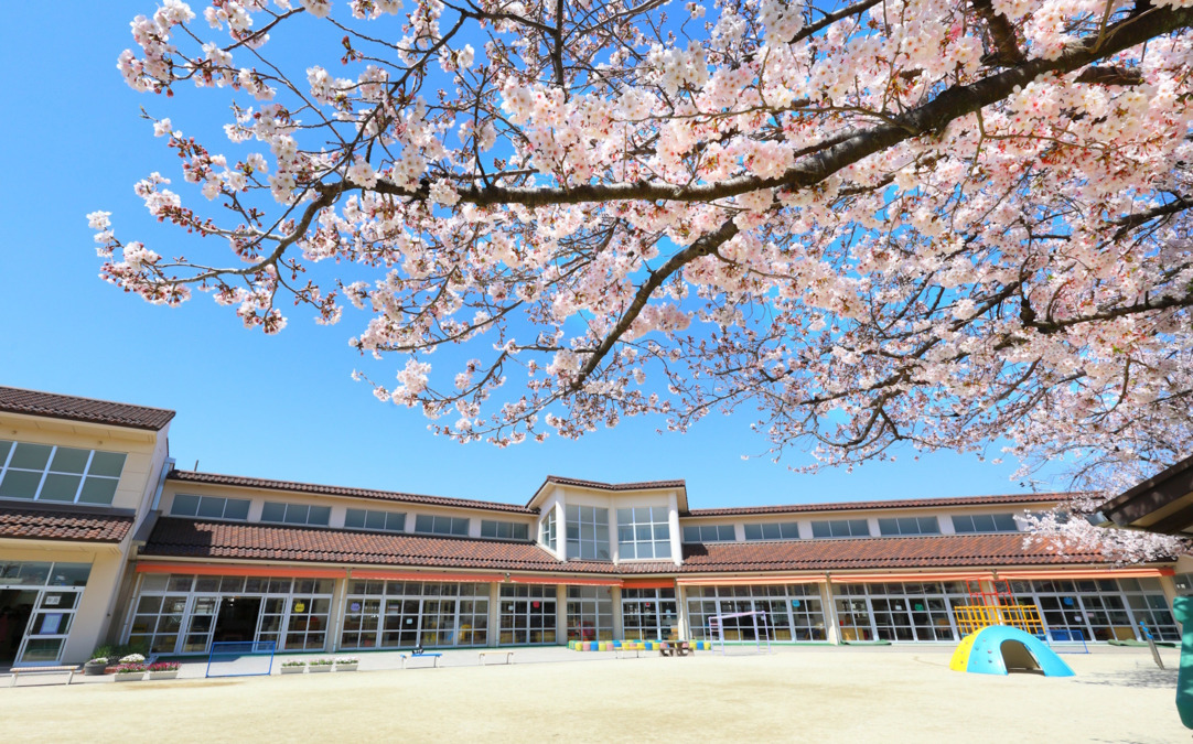 豊田花園幼稚園（幼稚園教諭の求人）の写真17枚目：4月は園庭の桜の花が咲きます。