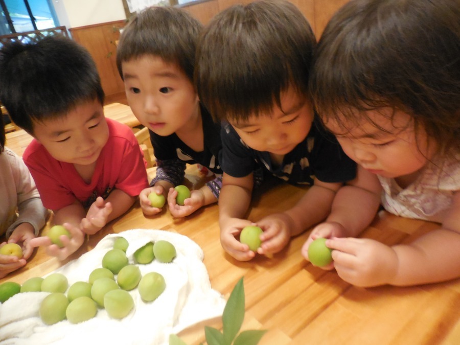 わくわくの森保育園の写真3枚目：