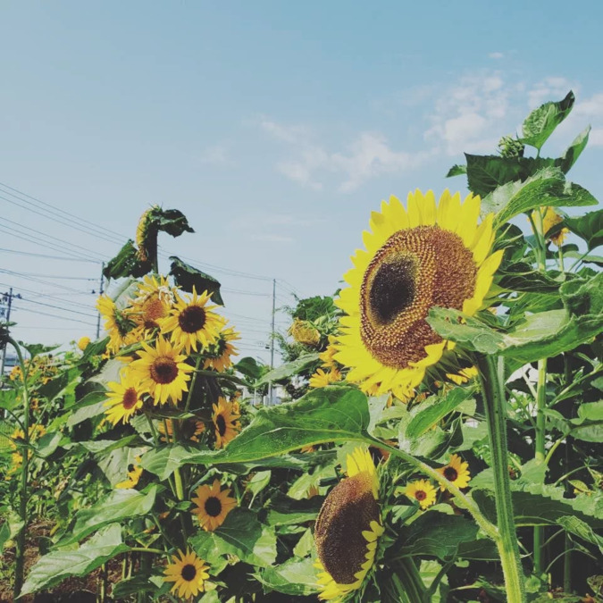 立華認定こども園（保育士の求人）の写真14枚目：