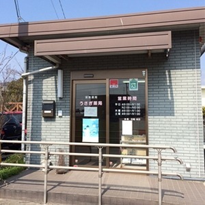 うさぎ薬局(医療事務/受付の求人)の写真: