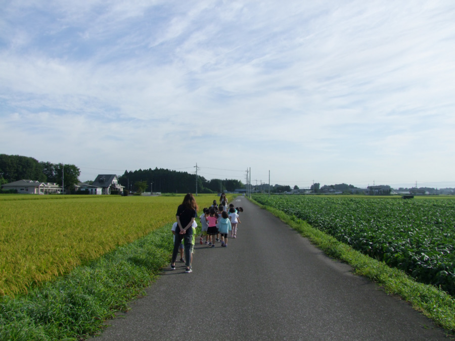 保育園チャイルド（保育士の求人）の写真3枚目：のどかなお散歩コース