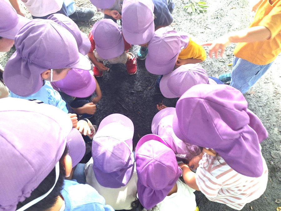 十八コスモ保育園の写真4枚目: