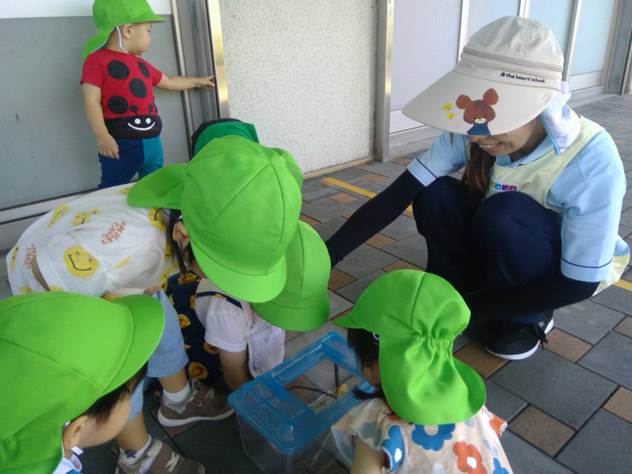 ニチイキッズ本城中央保育園　（保育士の求人）の写真2枚目：